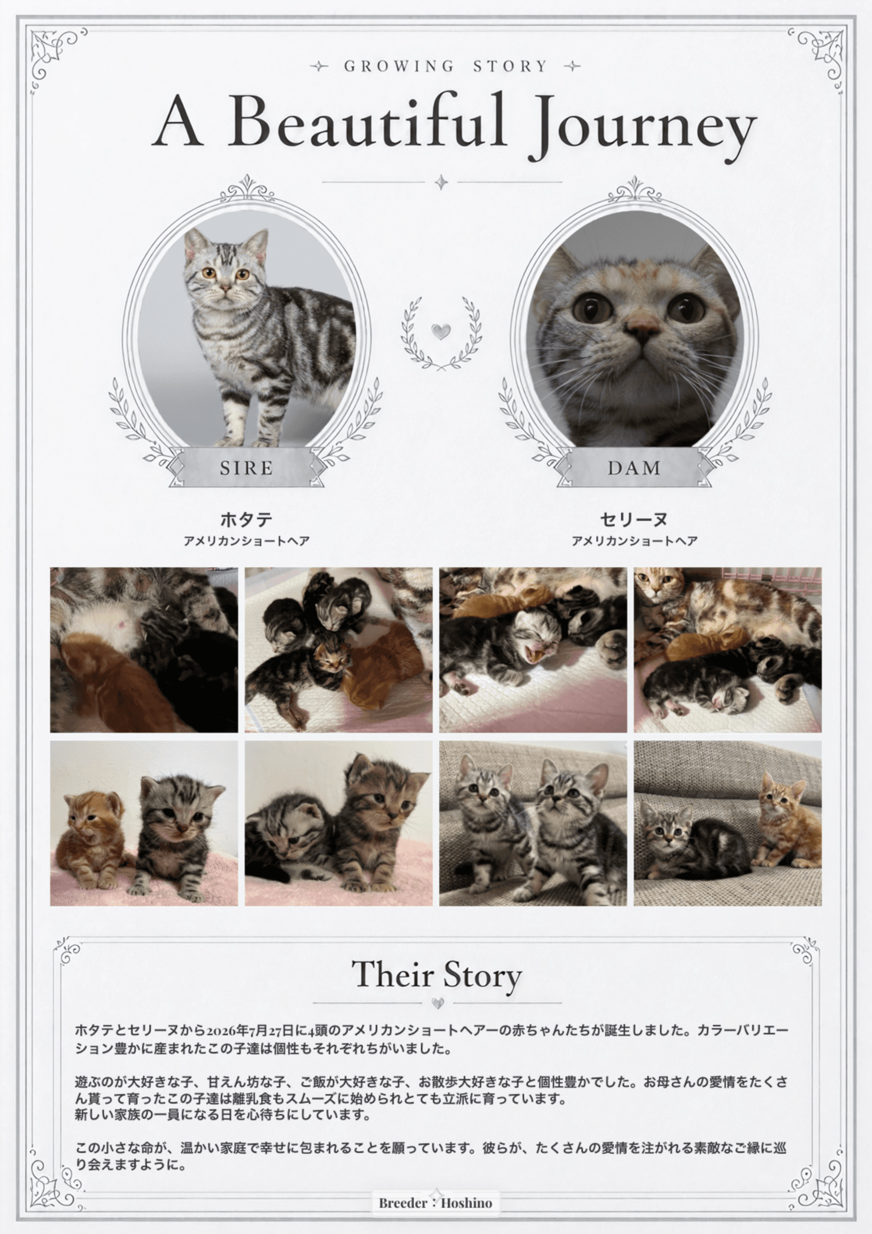 成長記録ボード